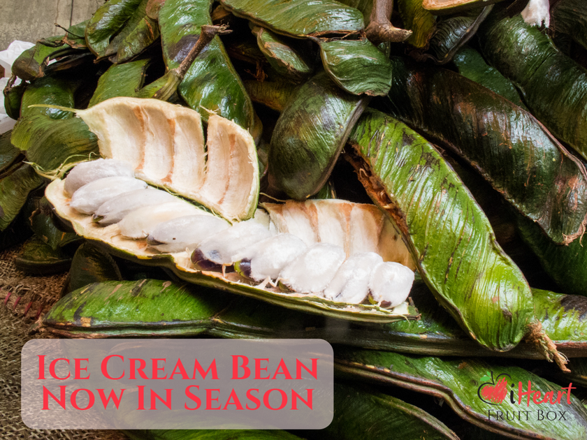 Savor the Tropical Delight Fresh, LocallyGrown Ice Cream Beans Now