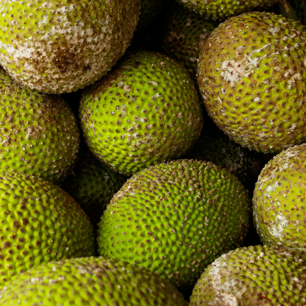 Breadfruit ***PreOrder*** iHeartFruitBox