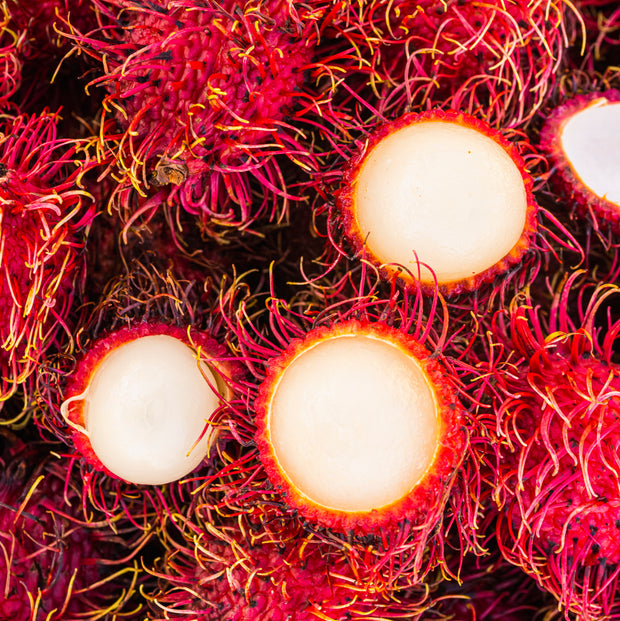 Close-up of several peeled iHeartFruitBox Rambutan fruits displaying their white flesh, surrounded by the spiky red outer shells.