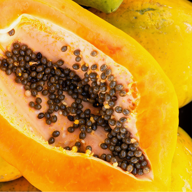 An iHeartFruitBox Papaya, a Tropical Fruit with a hole in it. Get yours today from iHeartFruitBox!