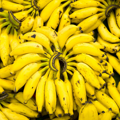 A cluster of vibrant yellow Baby Bananas from iHeartFruitBox, with a few brown spots, is neatly arranged.