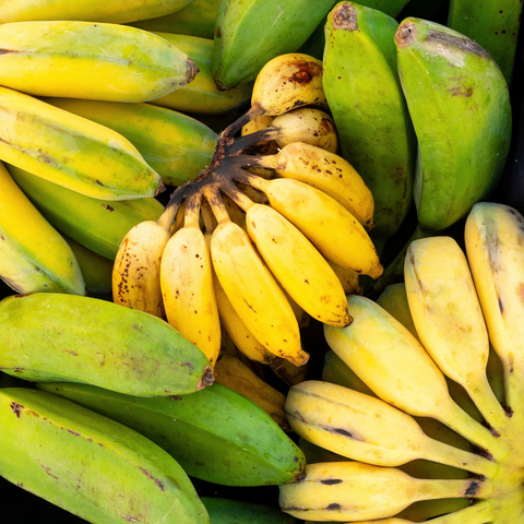 A sampler of ripe and unripe bananas clustered together from iHeartFruitBox.