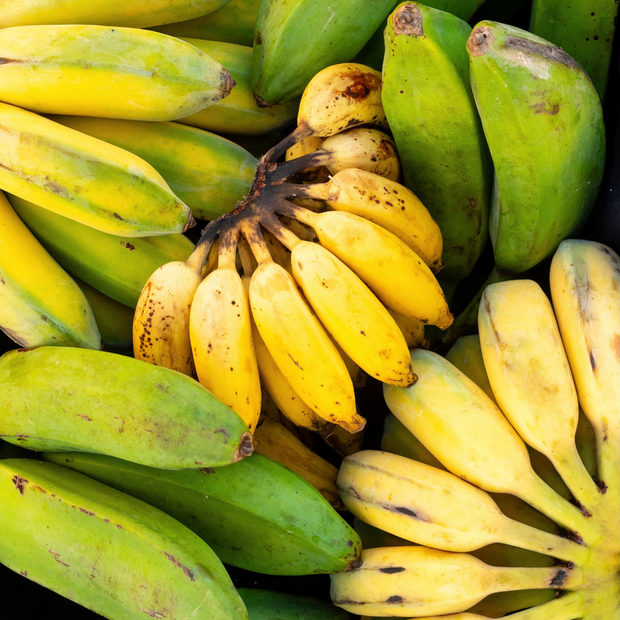 Tropical Variety Box