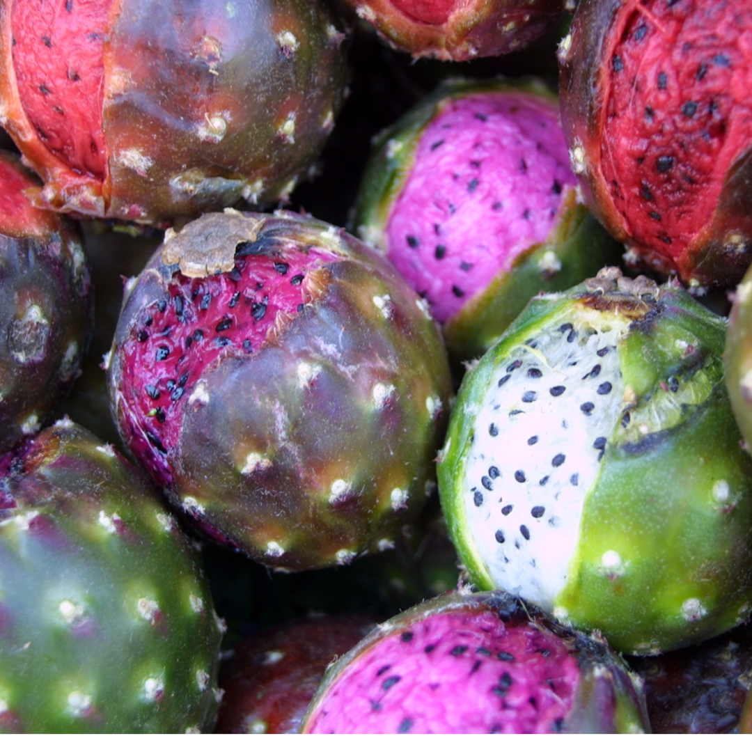 50 maroon fruit prickly pear cactus Cactus Pear (Prickly Pear / Cactus Fruit) ***Pre Order*** – iHeartFruitBox