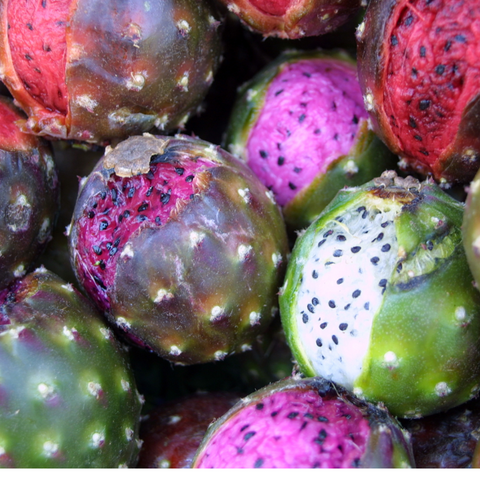 Close-up of vivid dragon fruit halves featuring green, red, and purple skins with white or magenta flesh speckled with tiny black seeds. These exotic fruits echo the lively colors of Cactus Pear varieties available for preorder from iHeartFruitBox.