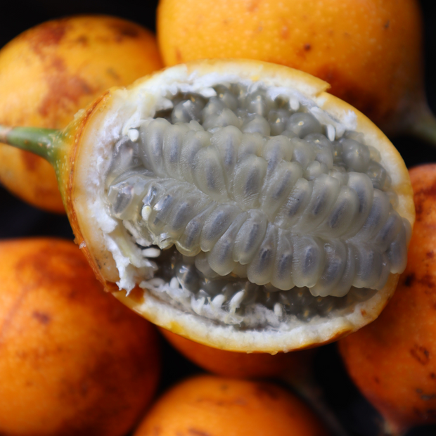 Close-up of a sliced iHeartFruitBox granadilla showing its juicy seeds and pulp, surrounded by whole fruits on a dark background.