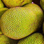 A pile of iHeartFruitBox jackfruits in a market.