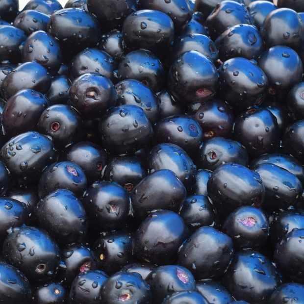 Close-up of a pile of fresh, glistening Java Plums (Jamun) from iHeartFruitBox, with water droplets on their surface, reminiscent of exotic fruit. ***Pre Order***