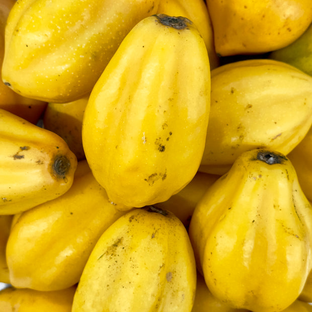 Close-up of yellow iHeartFruitBox Mountain Papayas piled together, showing their oblong shape and slightly speckled skin.
