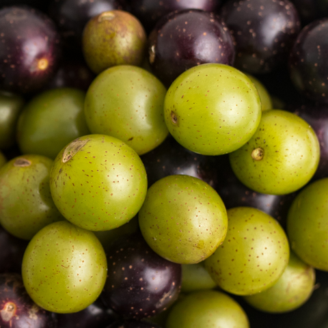 Grapes With Seed (Muscadine Red/Green) - iHeartFruitBox iHeartFruitBox