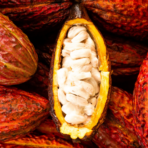 A close up of a iHeartFruitBox organically grown Cacao Pod (Chocolate Fruit).