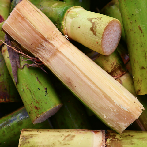A bunch of iHeartFruitBox Sugar Cane sticks are piled up on top of each other.