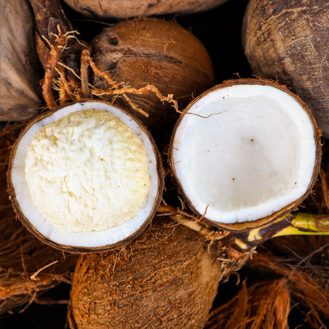 Sprouted Coconut (Coconut Heart) - iHeartFruitBox iHeartFruitBox fruit