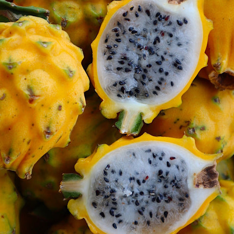 A close up of an iHeartFruitBox Yellow Dragon Fruit.