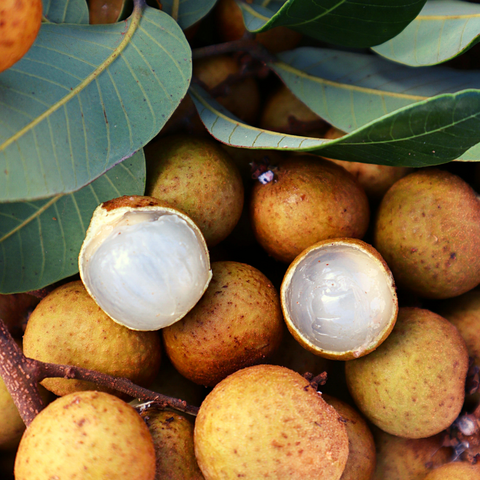 A bunch of iHeartFruitBox longan fruit on a tree.