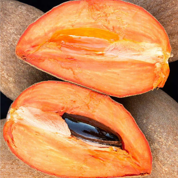 A ripe Mamey fruit from iHeartFruitBox on a black background, grown in organic farms.