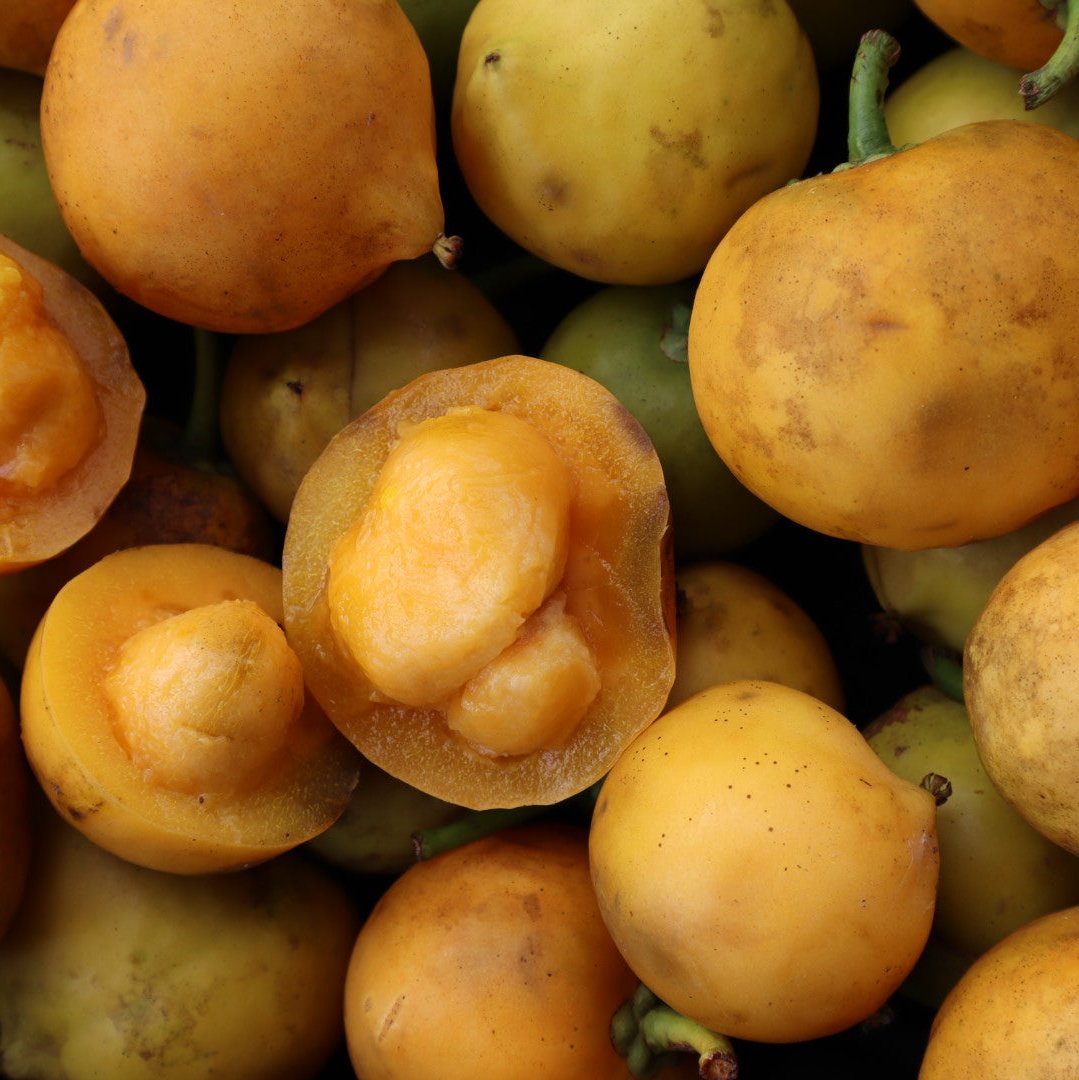 Lemon Mangosteen (Gamboge) ***PreOrder*** iHeartFruitBox