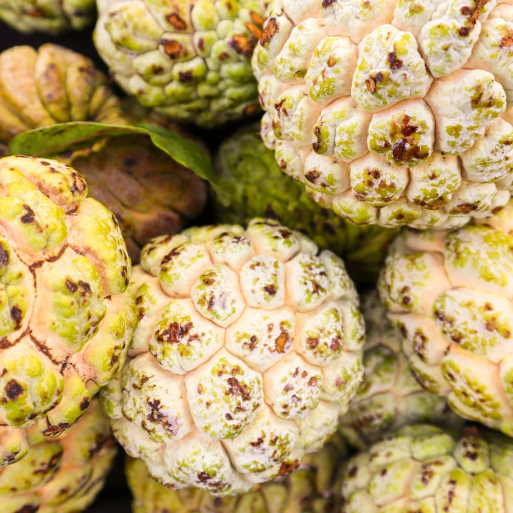 Fresh Sugar Apple 2-3 Fruits.standard Shipping Included. 