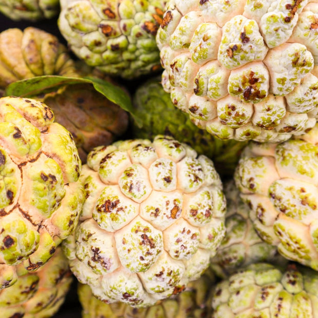 A close up of a bunch of iHeartFruitBox's Sugar Apple (Sweet Sop) **Pre-Order***.